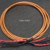 Ensemble Audio Dalvivo Speaker Cables. 3m w/bananas. Swiss high end. $4,000 MSRP - Image 2