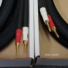 Shunyata Research ZiTron Anaconda speaker cables, 2.5m pr w/bananas. Positive reviews! $4,327 MSRP - Image 2